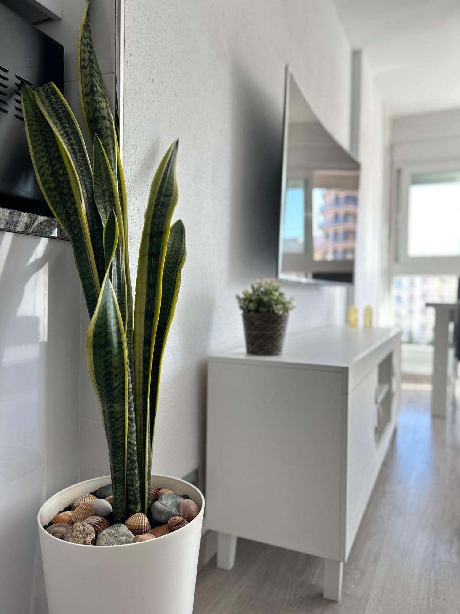 בנאלמדנה Diana Apartment - Terrace And Pool - 80M From The Beach מראה חיצוני תמונה