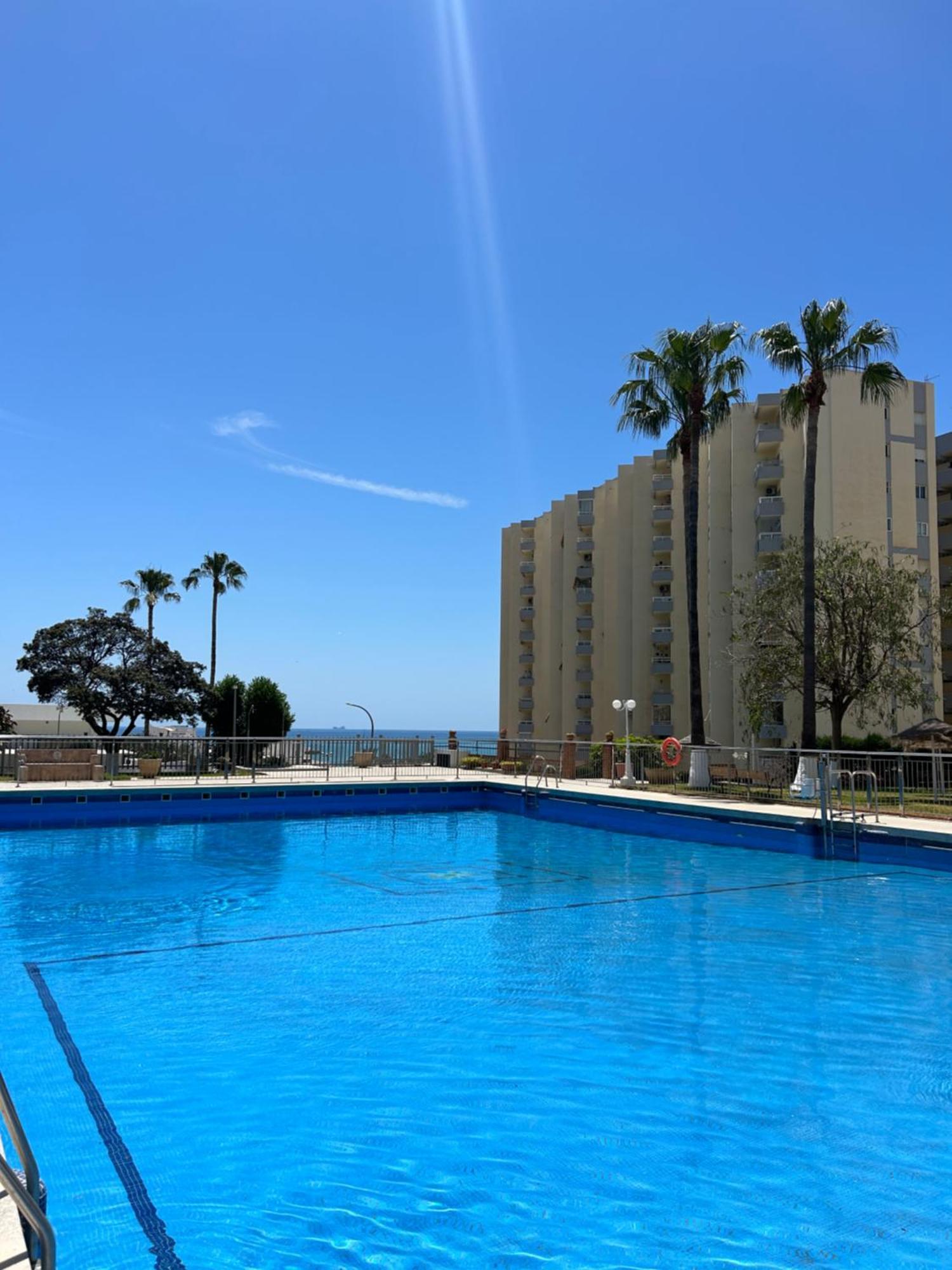 בנאלמדנה Diana Apartment - Terrace And Pool - 80M From The Beach מראה חיצוני תמונה